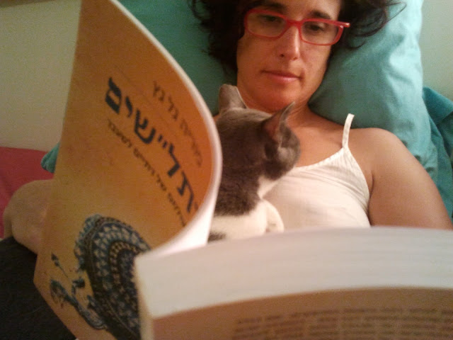 אבו-4