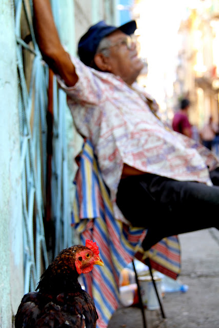 Luna de Miel en CUBA