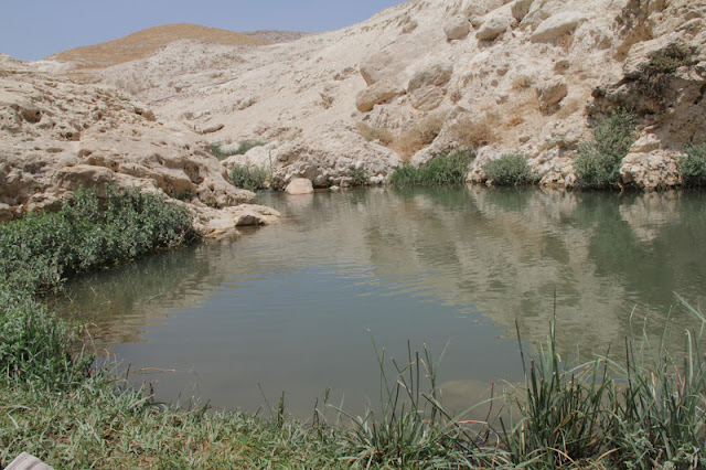 במדבר, בתוך המים. ואדי קלט