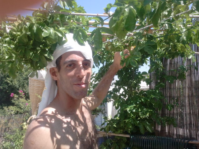 משדרגים את הפרגולה לקראת סוכות